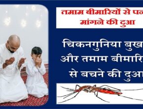 Chikungunya Aur Sari Bimariyon Se Hifazat